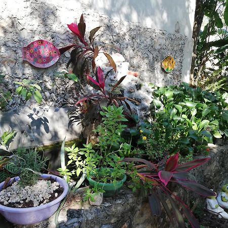 Mayan Bungalow Near Chichen Екстериор снимка