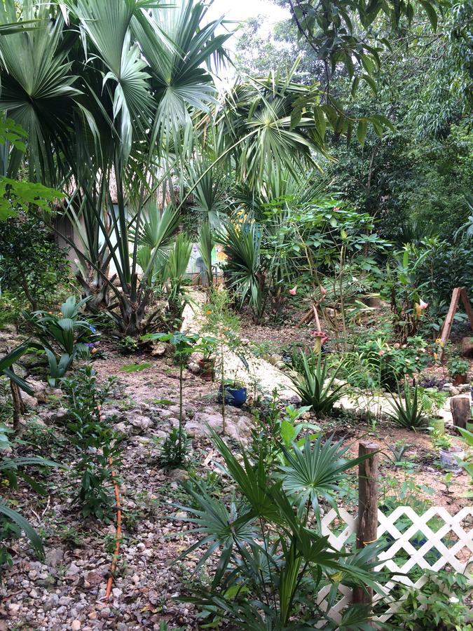 Mayan Bungalow Near Chichen Екстериор снимка